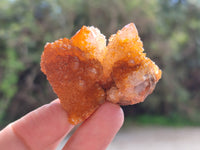 Natural Golden Solar Spirit Quartz Crystals x 20 From Boekenhouthoek, South Africa