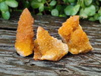 Natural Golden Solar Spirit Quartz Crystals x 20 From Boekenhouthoek, South Africa