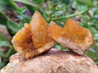 Natural Golden Solar Spirit Quartz Crystals x 20 From Boekenhouthoek, South Africa