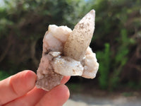 Natural Drusy Quartz Coated Calcite Pseudomorph Specimens x 12 From Alberts Mountain, Lesotho