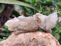 Natural Drusy Quartz Coated Calcite Pseudomorph Specimens x 12 From Alberts Mountain, Lesotho