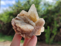 Natural Drusy Quartz Coated Calcite Pseudomorph Specimens x 12 From Alberts Mountain, Lesotho