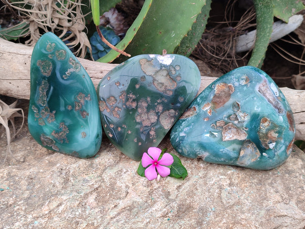 Polished Emerald Mtorolite Free Forms x 3 From Mutorashanga, Zimbabwe