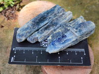 Natural Kyanite Crystals x 2.5 Kg Lot From Karoi, Zimbabwe