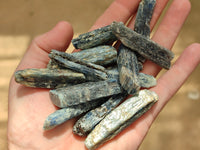 Natural Kyanite Crystals x 2.5 Kg Lot From Karoi, Zimbabwe