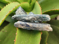 Natural Kyanite Crystals x 2.5 Kg Lot From Karoi, Zimbabwe