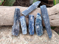 Natural Kyanite Crystals x 2.5 Kg Lot From Karoi, Zimbabwe