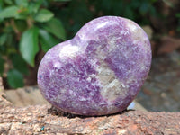 Polished Lepidolite with Pink Rubellite Hearts x 6 From Ambatondrazaka, Madagascar