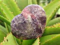 Polished Lepidolite with Pink Rubellite Hearts x 6 From Ambatondrazaka, Madagascar