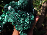 Natural Silky Malachite Specimen x 1 From Kasompe, Congo