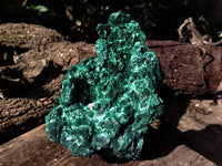 Natural Silky Malachite Specimen x 1 From Kasompe, Congo