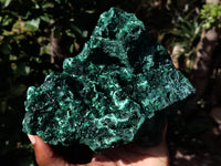 Natural Silky Malachite Specimen x 1 From Kasompe, Congo