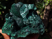 Natural Silky Malachite Specimen x 1 From Kasompe, Congo