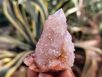 Natural Amethyst Spirit Quartz Clusters x 20 From Boekenhouthoek, South Africa