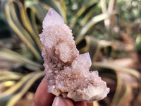 Natural Amethyst Spirit Quartz Clusters x 20 From Boekenhouthoek, South Africa