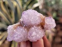 Natural Amethyst Spirit Quartz Clusters x 20 From Boekenhouthoek, South Africa