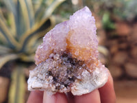 Natural Amethyst Spirit Quartz Clusters x 20 From Boekenhouthoek, South Africa