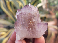 Natural Amethyst Spirit Quartz Clusters x 20 From Boekenhouthoek, South Africa