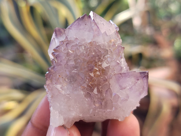 Natural Amethyst Spirit Quartz Clusters x 20 From Boekenhouthoek, South Africa