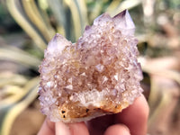 Natural Amethyst Spirit Quartz Clusters x 20 From Boekenhouthoek, South Africa