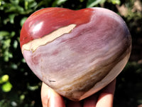 Polished Podocarpus Petrified Wood Hearts x 2 From Mahajanga, Madagascar