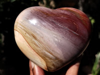 Polished Podocarpus Petrified Wood Hearts x 2 From Mahajanga, Madagascar