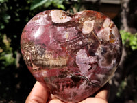 Polished Podocarpus Petrified Wood Hearts x 2 From Mahajanga, Madagascar