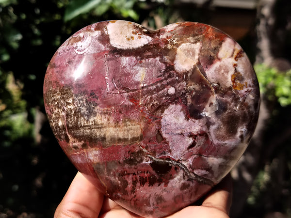 Polished Podocarpus Petrified Wood Hearts x 2 From Mahajanga, Madagascar