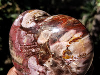 Polished Podocarpus Petrified Wood Hearts x 2 From Mahajanga, Madagascar