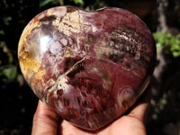 Polished Podocarpus Petrified Wood Hearts x 2 From Mahajanga, Madagascar