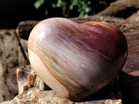 Polished Podocarpus Petrified Wood Hearts x 2 From Mahajanga, Madagascar