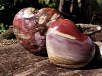 Polished Podocarpus Petrified Wood Hearts x 2 From Mahajanga, Madagascar