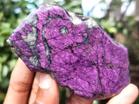 Polished On One Side Purpurite Specimens x 6 From Namibia