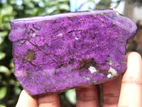 Polished On One Side Purpurite Specimens x 6 From Namibia