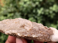 Natural Drusy Quartz Coated Calcite Pseudomorph Specimens x 12 From Lesotho