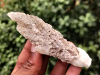 Natural Drusy Quartz Coated Calcite Pseudomorph Specimens x 12 From Lesotho