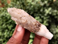 Natural Drusy Quartz Coated Calcite Pseudomorph Specimens x 12 From Lesotho