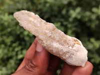 Natural Drusy Quartz Coated Calcite Pseudomorph Specimens x 12 From Lesotho