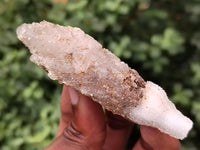 Natural Drusy Quartz Coated Calcite Pseudomorph Specimens x 12 From Lesotho