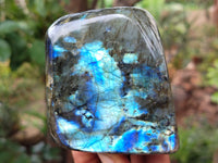 Polished Labradorite Standing Free Forms x 3 From Tulear, Madagascar