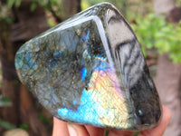 Polished Labradorite Standing Free Forms x 3 From Tulear, Madagascar