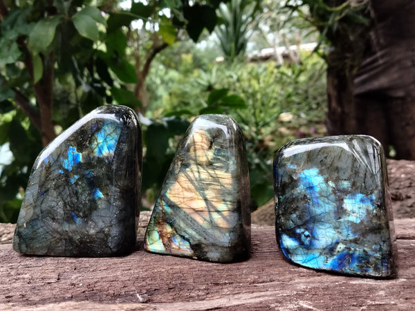 Polished Labradorite Standing Free Forms x 3 From Tulear, Madagascar