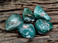 Polished Emerald Mtorolite Free Forms x 35 From Mutorashanga, Zimbabwe