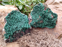 Natural Botryoidal Malachite Specimens x 2 From Congo