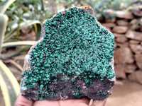 Natural Botryoidal Malachite Specimens x 2 From Congo