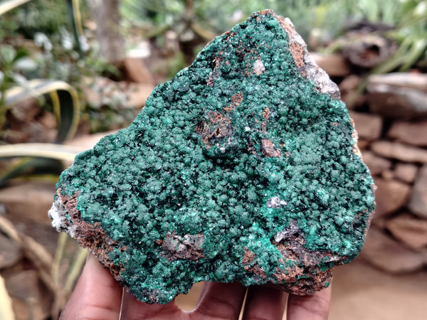 Natural Botryoidal Malachite Specimens x 2 From Congo