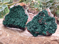 Natural Botryoidal Malachite Specimens x 2 From Congo