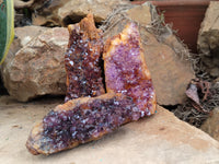 Natural Amethystos Amethyst Clusters x 13 From Kwaggafontein, South Africa