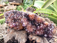 Natural Amethystos Amethyst Clusters x 13 From Kwaggafontein, South Africa