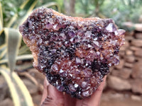 Natural Amethystos Amethyst Clusters x 13 From Kwaggafontein, South Africa